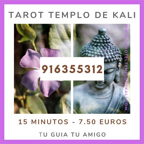 tarot por telefono 24 horas|Tarot & Vidência 